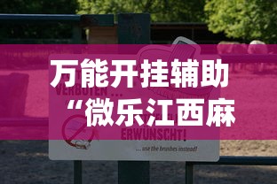 使用分享!yy比鸡怎么开挂辅助”掌握辅助功能必胜规则