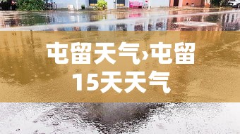 使用分享!福麻圈外卦神器免费下载”(曝光透视必备猫腻)