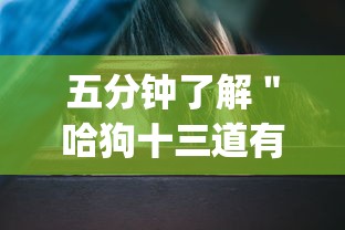 五分钟了解＂哈狗十三道有挂吗	”开挂(透视)辅助教程