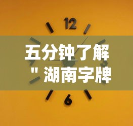 五分钟了解＂湖南字牌跑胡子技巧	”作弊(透视)透视辅助