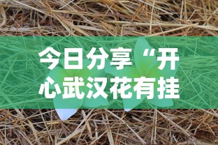 内测功能“星悦陕西麻将技巧”作弊挂(辅助外挂+