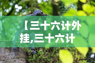 实测辅助“中至鹰潭麻将怎么装开挂”开挂方法
