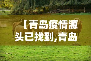 实测!“微乐湖北麻将开挂版本软件”能不能开挂!