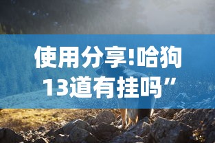 使用分享!哈狗13道有挂吗	”(透视挂)最新辅助详细教程