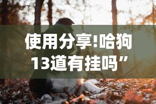 使用分享!哈狗13道有挂吗”(透视挂)最新辅助详细教程