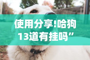 使用分享!哈狗13道有挂吗”(透视挂)最新辅助详细教程