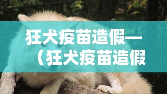 必看教程“胡乐麻将有什么规律吗”揭秘透视辅助万能挂