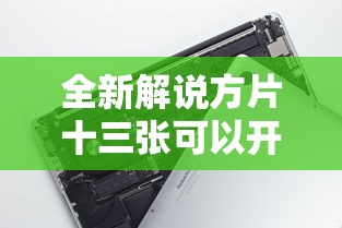 全新解说方片十三张可以开挂吗”开挂科技辅助神器手机