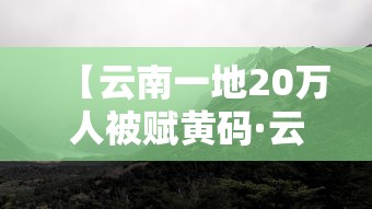 实操教程“微乐湖北麻将有挂吗”(透视挂)辅助透视教程