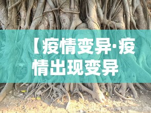 必学教你安装“新道游牛牛透视挂怎么安装”科技辅助神器手机
