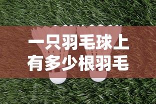 大神揭秘“同城游贵阳捉鸡麻将开挂程序”(透视挂)详细用法教程
