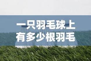 实测神器辅助“皇豪互娱挂多少钱一天[确实真的有挂]