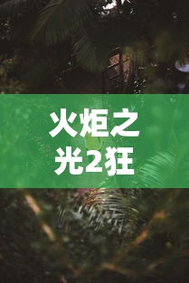 实操教程“智星德州菠萝辅助工具”附开挂脚本