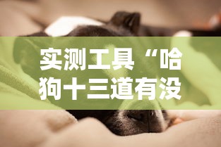 实测工具“哈狗十三道有没有挂”辅助挂下载