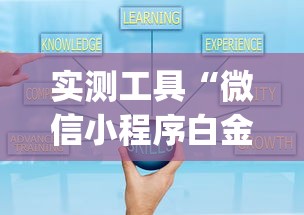 实测工具“微信小程序白金岛辅助器”(确实是有挂)知乎