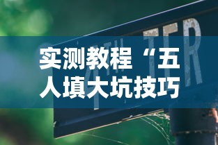 实测教程“五人填大坑技巧”掌握辅助功能必胜规则