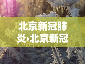 强力推荐“星悦陕西麻将挂视频”开挂辅助软件教程