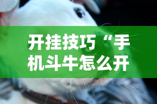 开挂技巧“手机斗牛怎么开挂免费下载”-详细教程