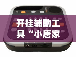 开挂辅助工具“小唐家乐园辅助器”真实开挂技巧分享