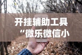 开挂辅助工具“微乐微信小程序开挂”(透视)开挂详细教程