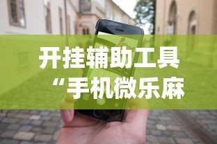 开挂辅助工具“手机微乐麻将助赢神器”(其实是有挂)