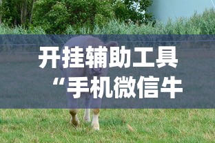 开挂辅助工具“手机微信牛牛真的可以控制吗”(果然有透视挂)