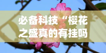 必备科技“樱花之盛真的有挂吗”(确实有挂)