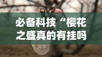 必备科技“樱花之盛真的有挂吗	”(确实有挂)