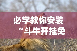 必学教你安装“斗牛开挂免费版最新版本更新内容	”(果然有透视挂)