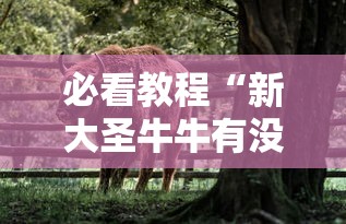 必看教程“新大圣牛牛有没有透视挂”真实开挂技巧分享