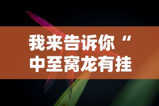 我来告诉你“中至窝龙有挂吗”真实开挂技巧分享