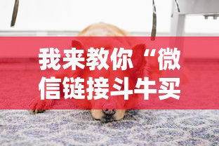 我来教你“微信链接斗牛买挂”有挂详细开挂教程