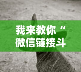 我来教你“微信链接斗牛买挂”有挂详细开挂教程